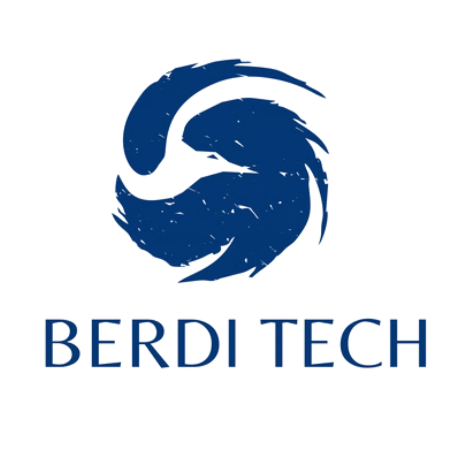 berdi tech logo